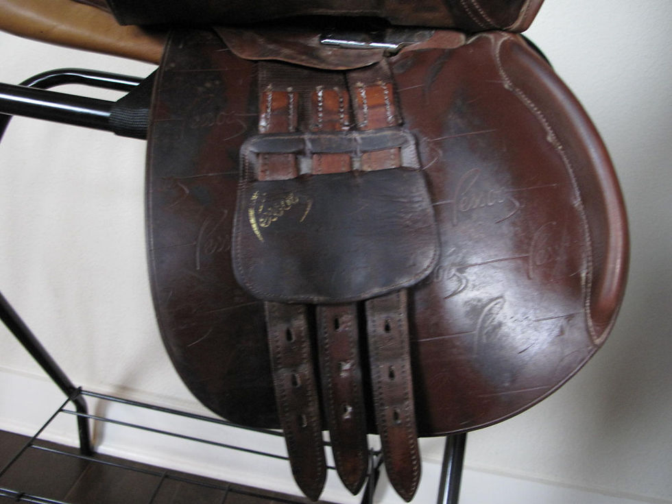 Thumbnail: 17.5" Pessoa AO