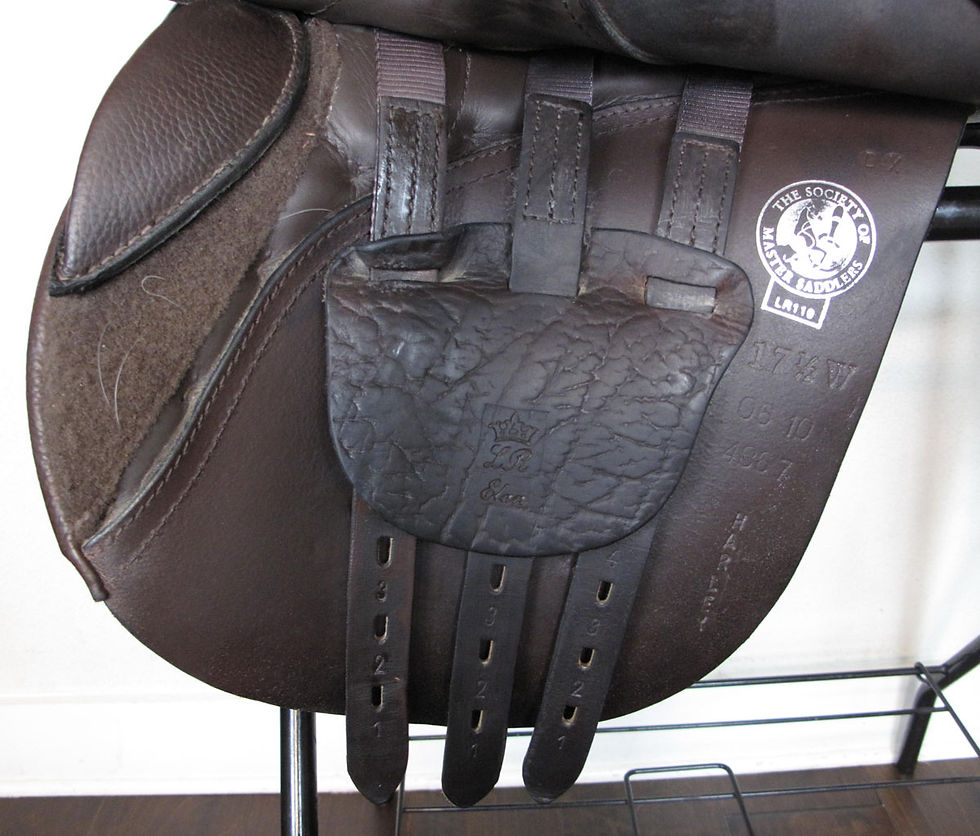 Thumbnail: 17.5"W ASC Elan - 2010 model