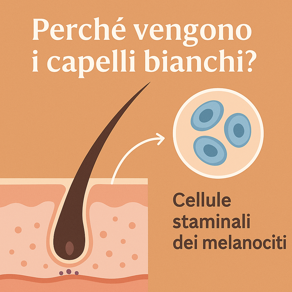 Perché vengono i capelli bianchi?