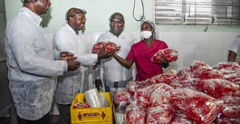 Cal's prepares for JSE listing as it eyes export market