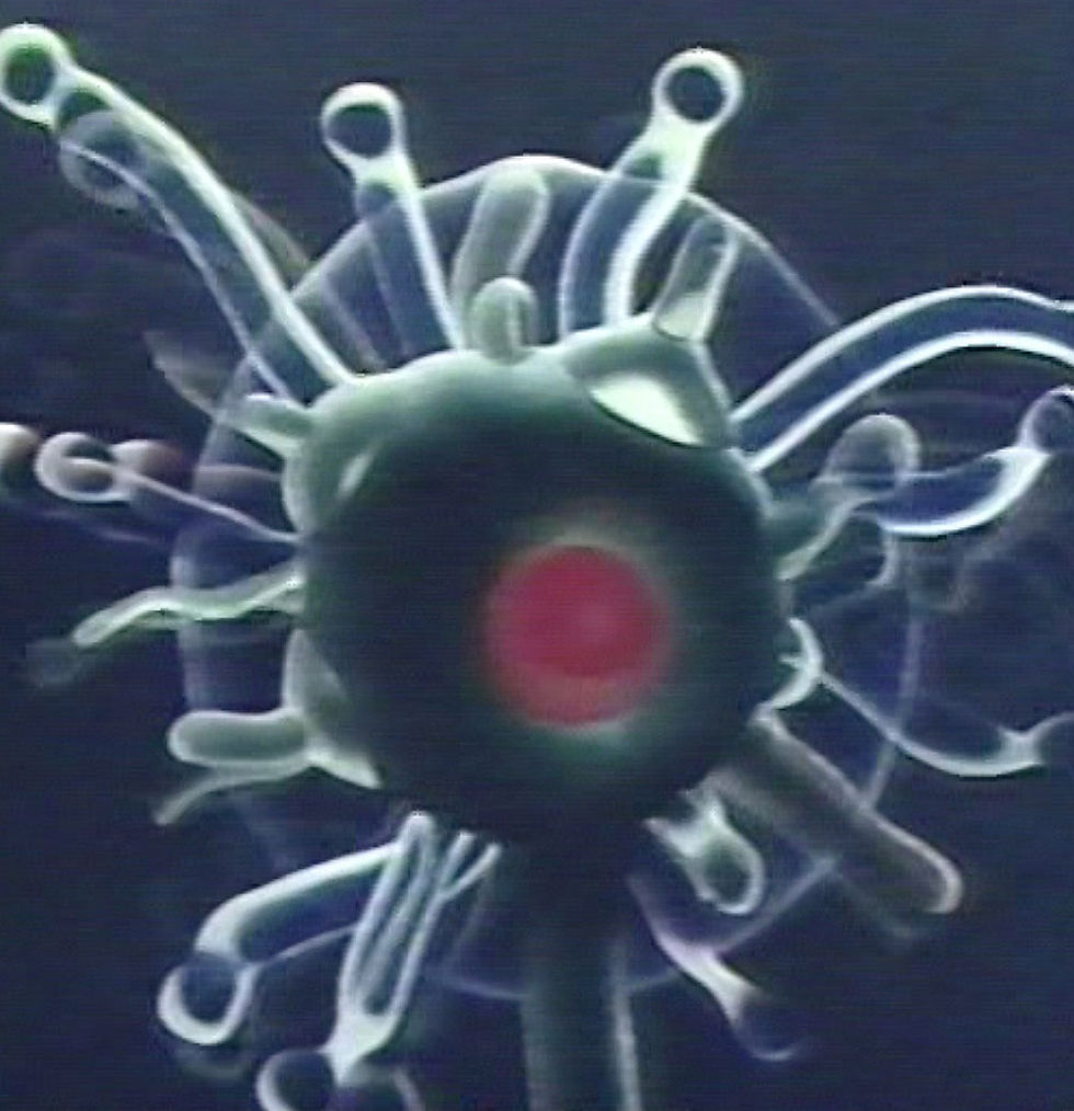 Night Blooming Boppers (animation)