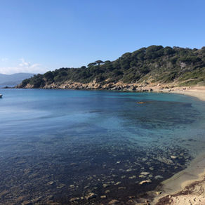 Where to go to the beach? 