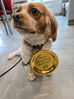 A Golden day!