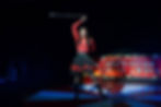 Australian Circus Festival