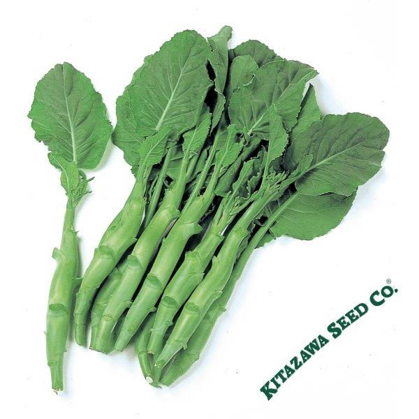 Broccoli: Kailaan Chinese