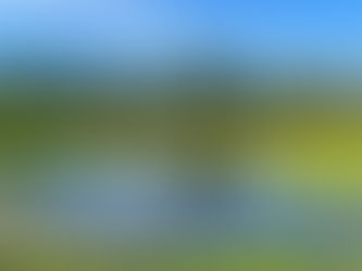 Von Laternen und Särgen . . .