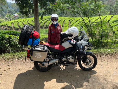 Ode an die Bergziege . . .