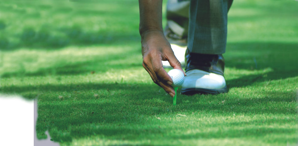 Hand_with_golfball.jpg