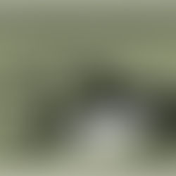 Center Valley Animal Rescue to Speak at Dine and Discover