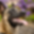 D92732A5-BAF6-41D7-91EB-776B84625C36.png