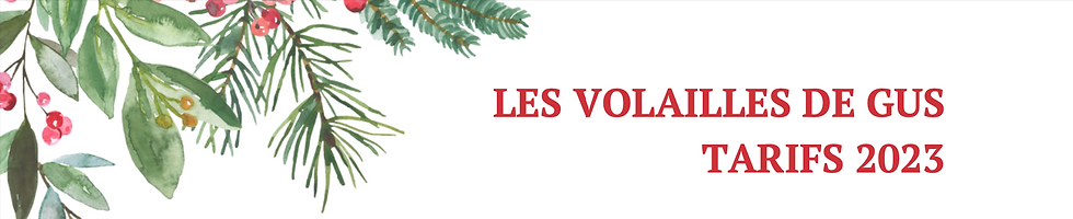 Entête tarifs volailles festives 2023