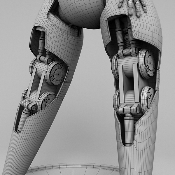 Drossel_legs_wired.png