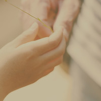 Hands