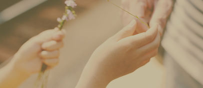 Hands
