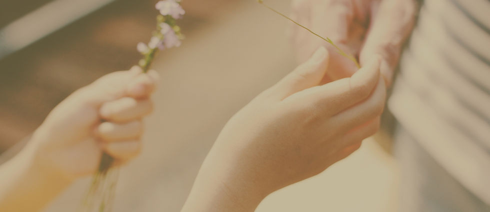mãos de uma pessoa jovem oferecendo flores para uma pessoa idosa, simbolizando afeto e respeito entre gerações