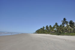 Praia do Sargi