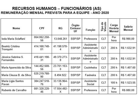 REMUNERAÇÃO DA EQUIPE DE TRABALHO 2020