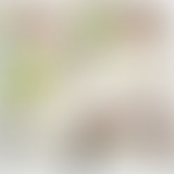 Séance photo à la maternité : 5 bonnes raisons pour le faire ! Voici Lila, 2 jours