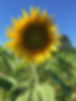 F7DFCF27-DC0E-4F11-BA83-30E1F09F34CD.JPG