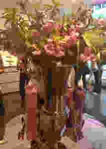image10
