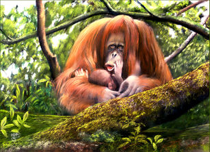 John King Oo -Oo-Oo-Oos a pretty boy then.jpg