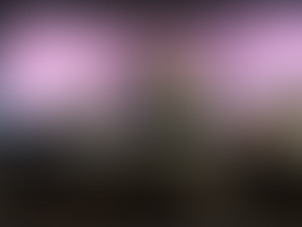 夢のようでした