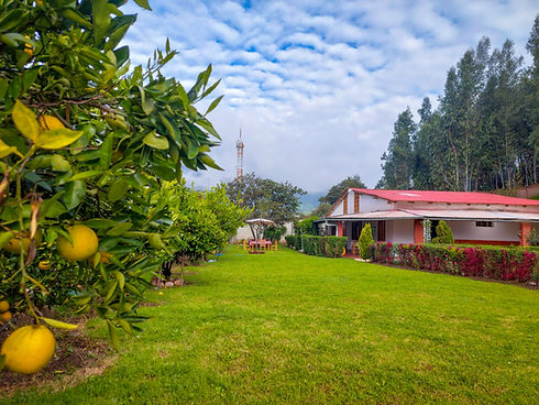 WhatsApp Image 2025-04-14 at 14.14.31.jpeg