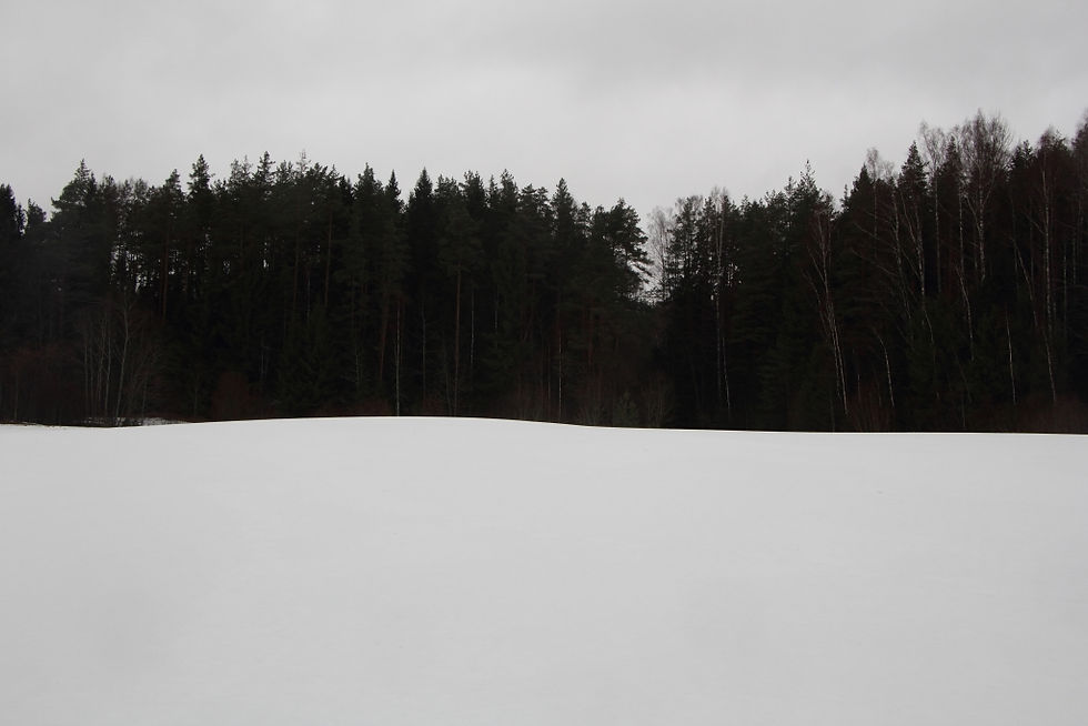 IGAUNIJA, OTSA - RÕUGE