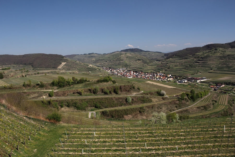 VĀCIJA