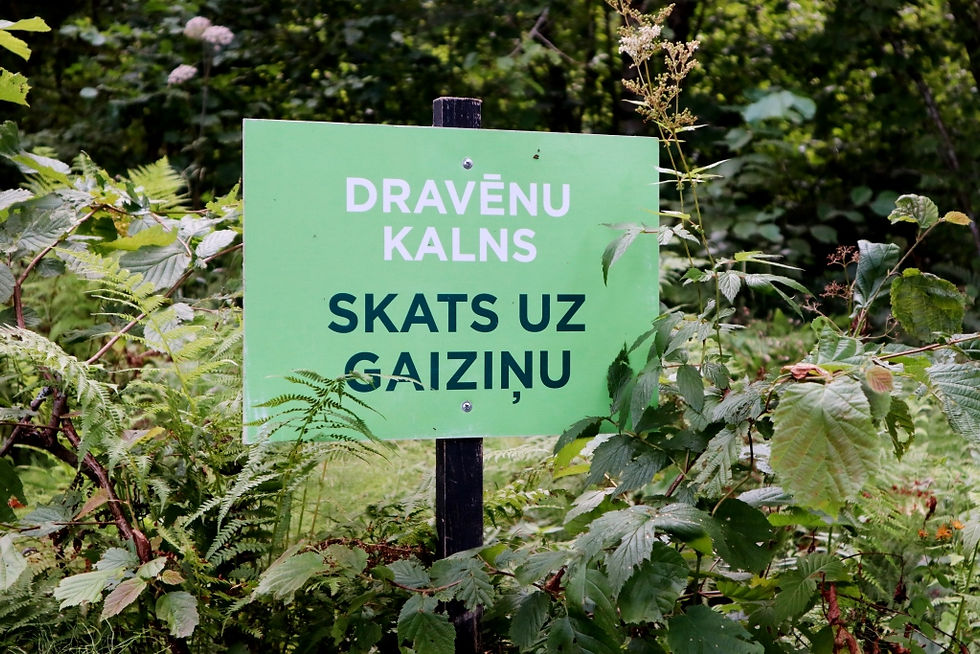 LATVIJA, DRAVĒNU KALNS