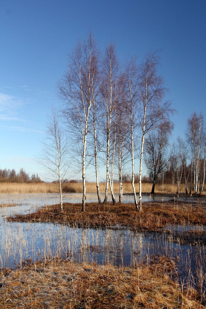 LATVIJA, RĪGA, DAUGAVGRĪVA