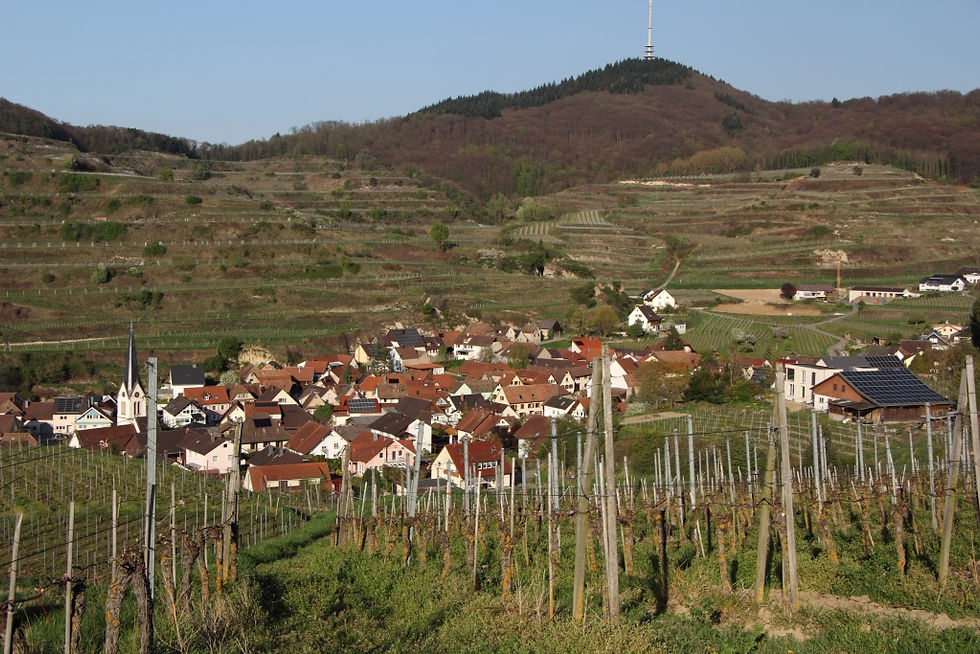 VĀCIJA, BICKENSOHL