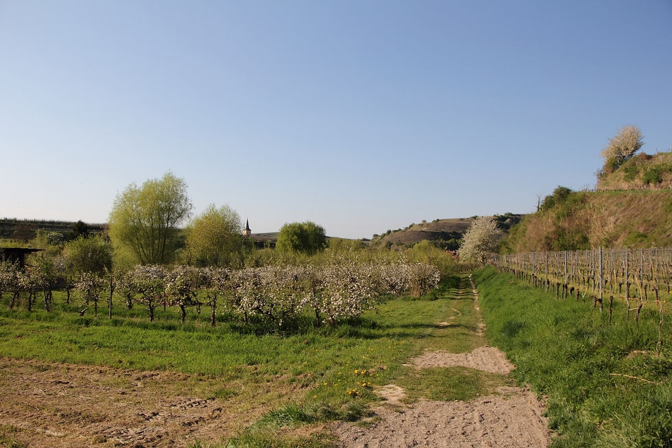 VĀCIJA