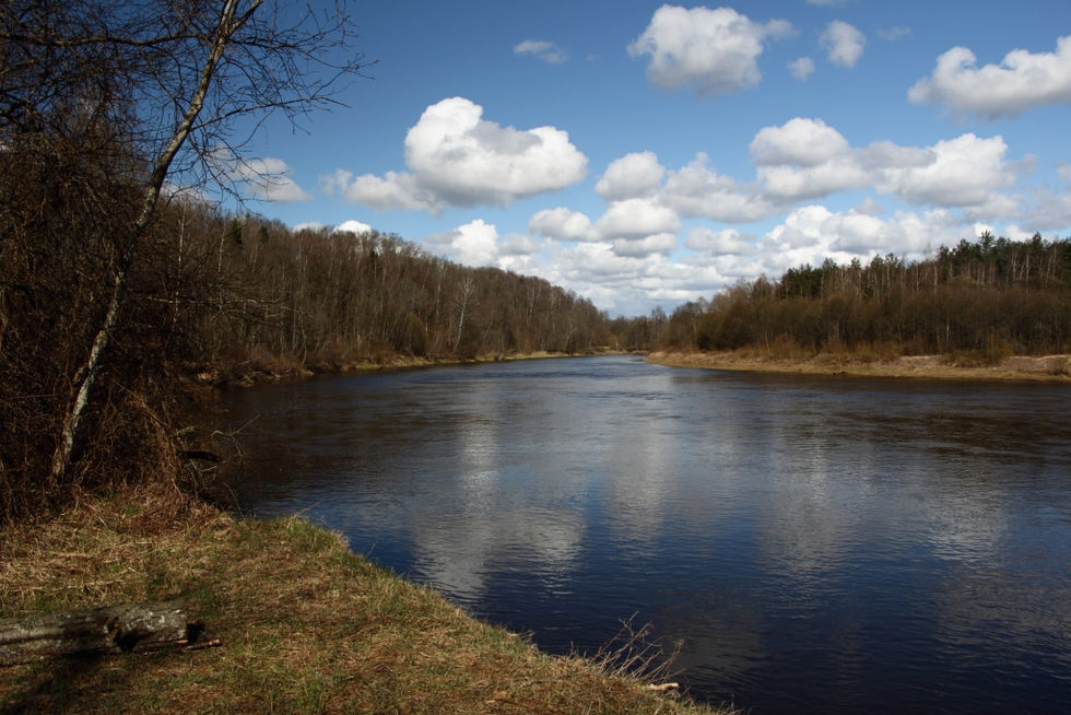 2017. gada 23. aprīlis. 20 km pārgājiens Sigulda - Murjāņi. Pavasaris Gaujas līkumos