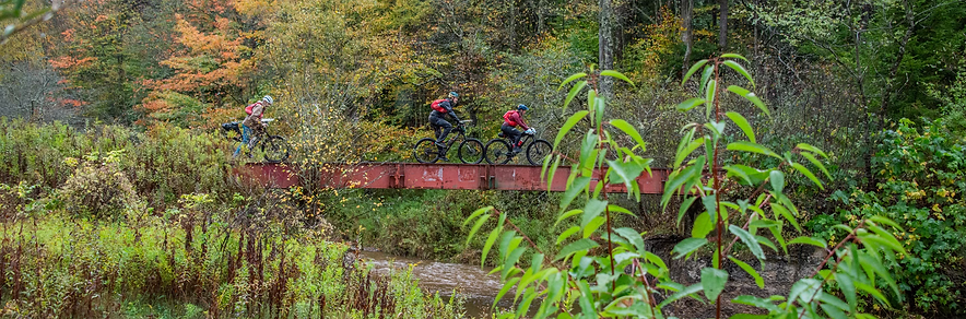 bike over bridge .heic