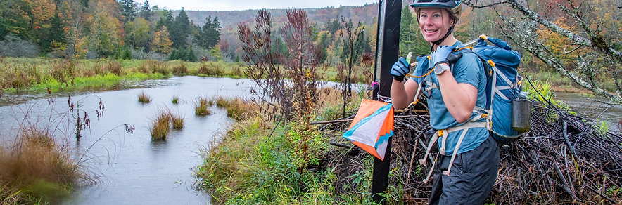 beaver pond CP .heic
