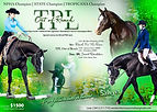 TPL OUT OF REACH 2.JPEG
