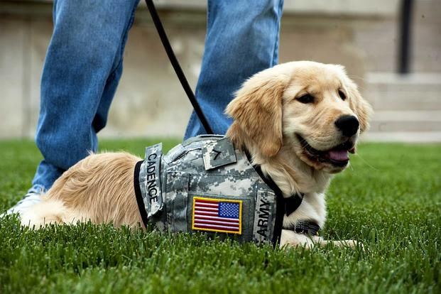 VET DOG FUNDRAISER - WAYNE AMERICAN LEGION