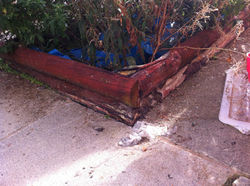 Planter in Yellow room garden