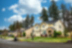 LaceyNeighborhood--2-min.jpg