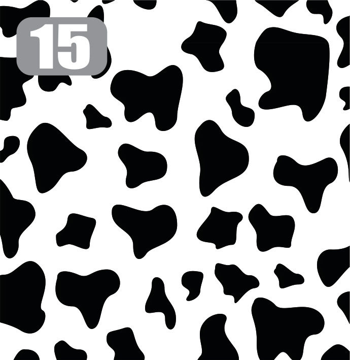 animal 16