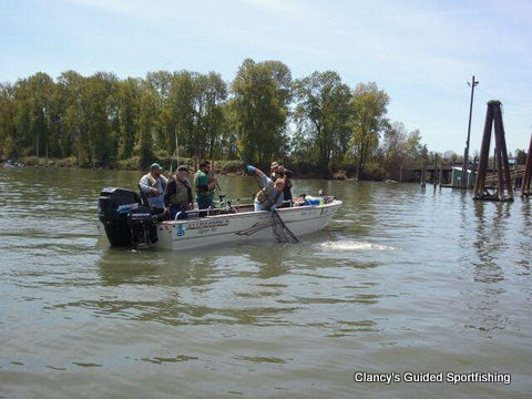 Spring King Salmon Fishing with Clancy's Guided Sport Fishing