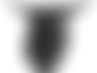 Las corridas de toros en el siglo XVIII en la Nueva España: rito, poder y mestizaje