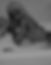 301399640_466532975485951_5757711871830617678_n_edited_edited_edited.jpg