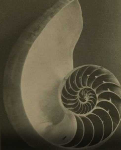 Screenshot 2025-11-21 at 16.19.38.png