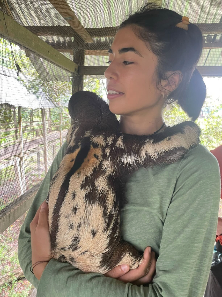 Screenshot 2026-01-18 at 15.32.28