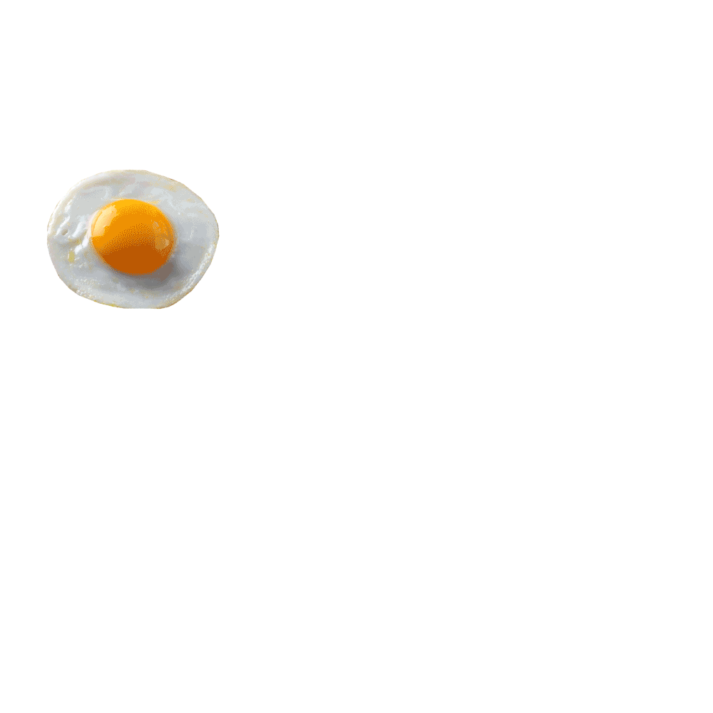 fried-egg.gif