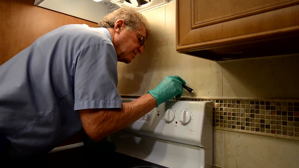 IPM Pest Control Serving Boca Raton, Delray Beach, & all of South Florida