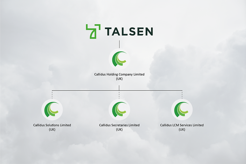 Corporate Structure 2023 (Talsen).png