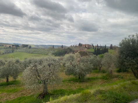 Italy (PC) - Leisure-(AL 6) Guided Group Tour of Tuscany, Florence, Pisa, Siena.
